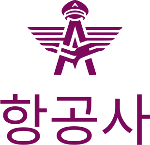항공사 logo design