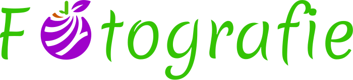 Fotografie logo design