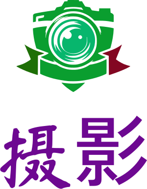 摄影 logo design