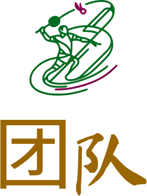 团队 logo design