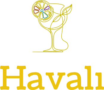 Havalı logo design