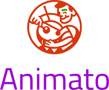 Animato logo design