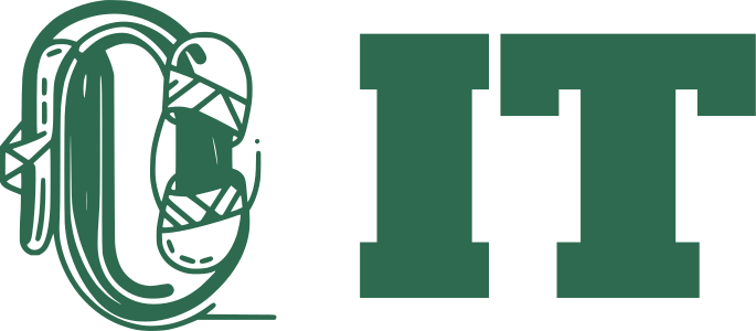 IT logo design