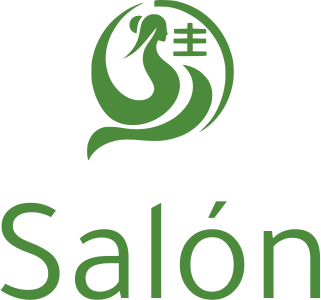 diseño de logotipo Salón