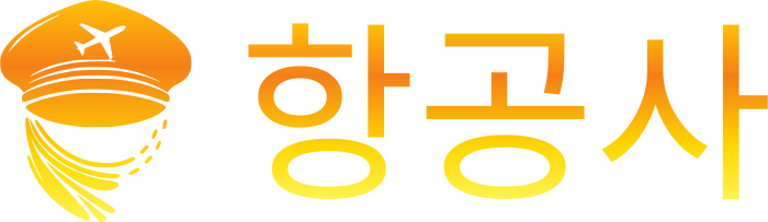 항공사 logo design