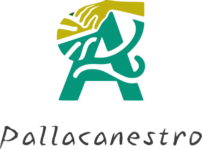 Pallacanestro logo design