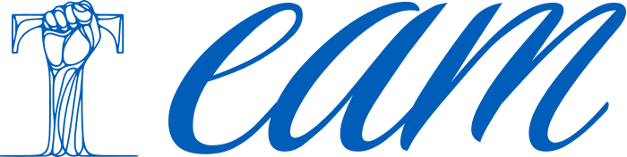 Team logo design