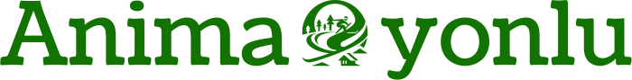Animasyonlu logo design