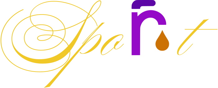 Sport logo design
