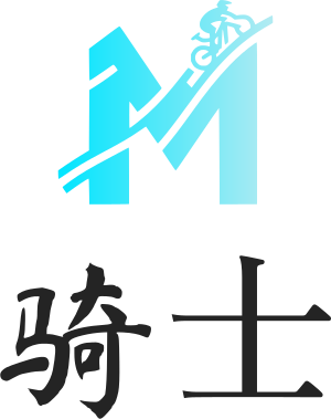 骑士 logo design