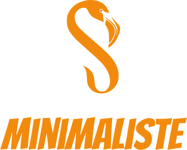 Minimaliste logo design