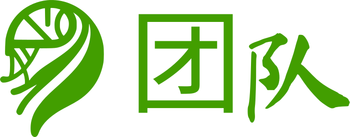 团队 logo design