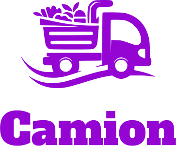 Camion logo design