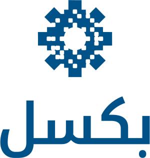 بكسل logo design