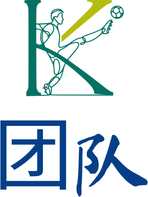 团队 logo design
