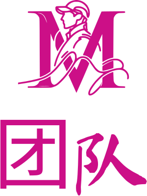 团队 logo design