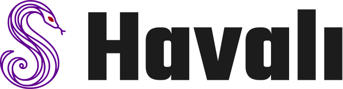 Havalı logo design
