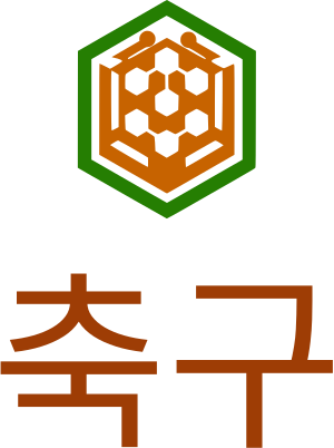 축구 logo design