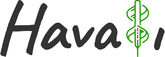Havalı logo design