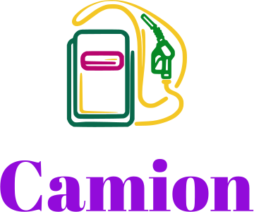 Camion logo design