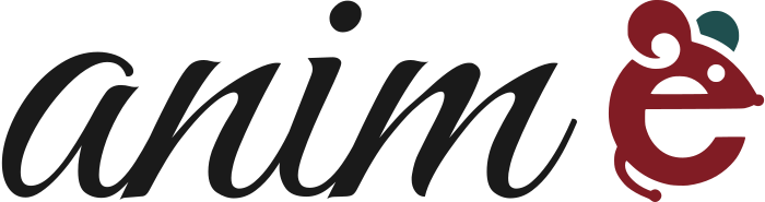 diseño de logotipo Anime