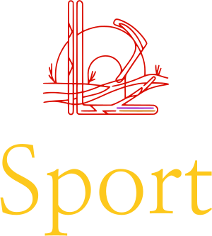 Sport logo design