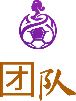 团队 logo design