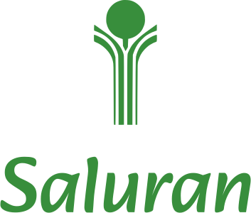 desain logo Saluran