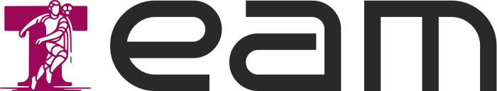 Team logo design