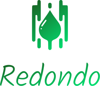 Redondo logo design