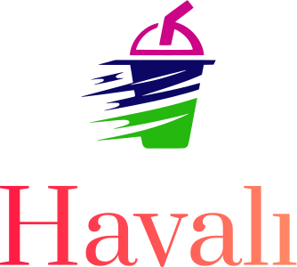 Havalı logo design