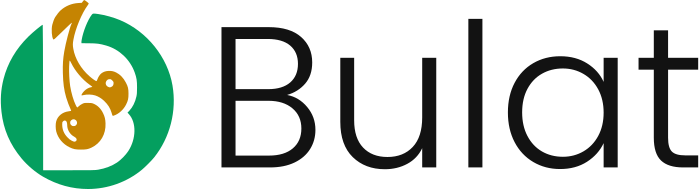 Bulat logo design
