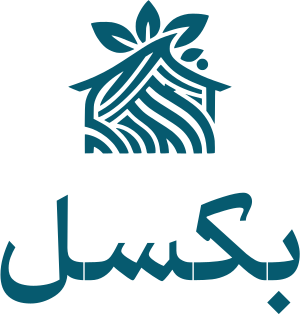 بكسل logo design