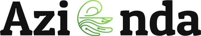 Azienda logo design