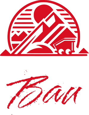 Bau logo design