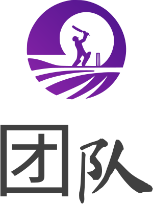 团队 logo design