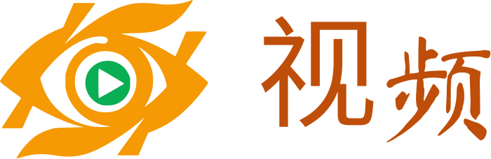 视频 logo design
