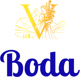 Boda logo design