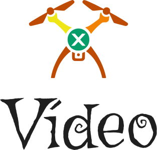Vídeo logo design