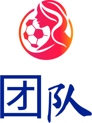 团队 logo design