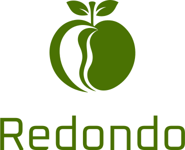 Redondo logo design