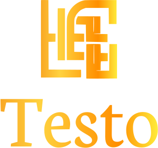 Testo logo design