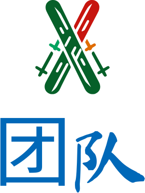团队 logo design