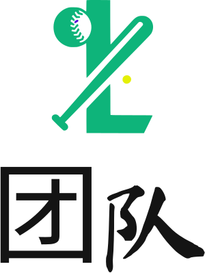 团队 logo design