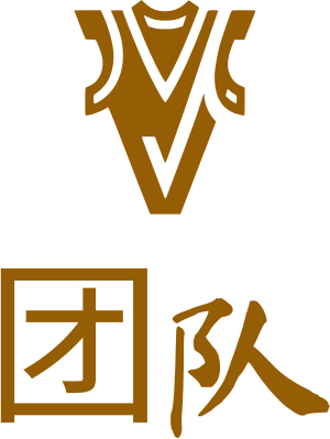 团队 logo design