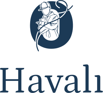 Havalı logo tasarımı