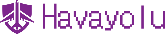 Havayolu logo tasarımı