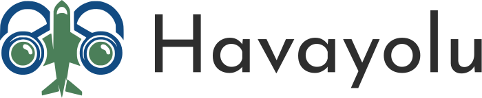 Havayolu logo tasarımı