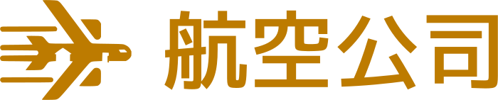 航空公司 标志设计