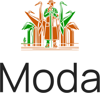 diseño de logotipo Moda